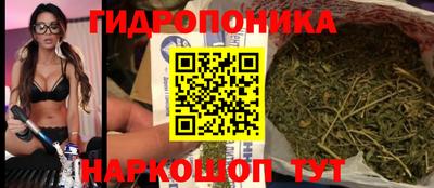 стаф Будённовск